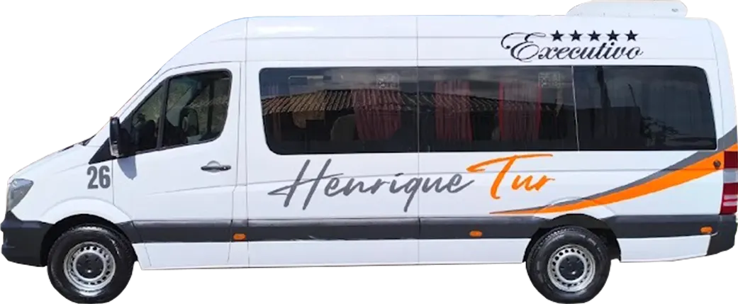 Henrique Tur